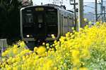 桂川陸橋付近