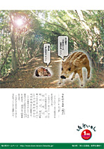 平成20年1月号