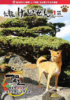 平成30年1月号