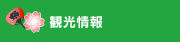 観光情報