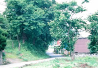 長崎街道